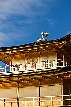 庙宇,金阁寺,京都,日本