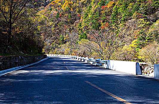 盘山公路