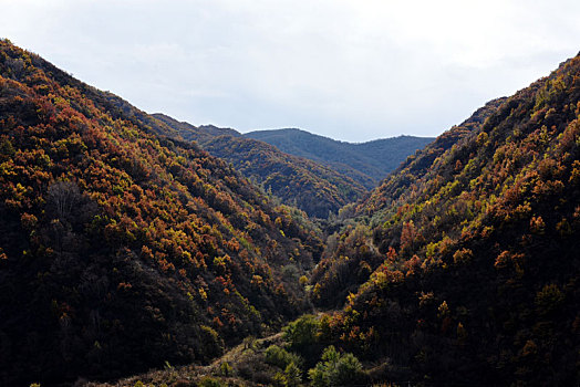 燕山山脉西段河北省张家口市崇礼区四台嘴乡山间秋色