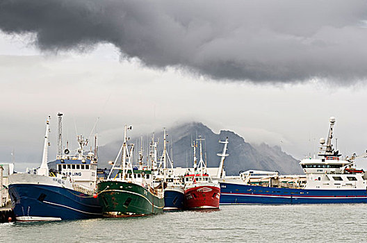 捕鱼,船,港口,冰岛,欧洲