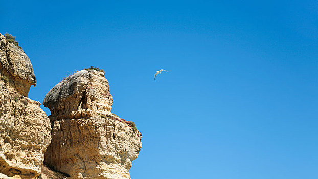 侵蚀,砂岩,石头,海鸥,蓝天