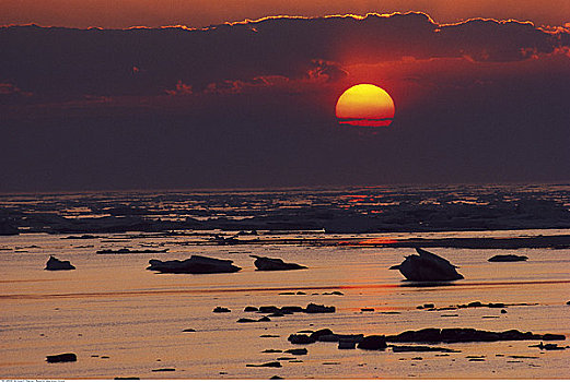 日落,上方,哈得逊湾,曼尼托巴,加拿大