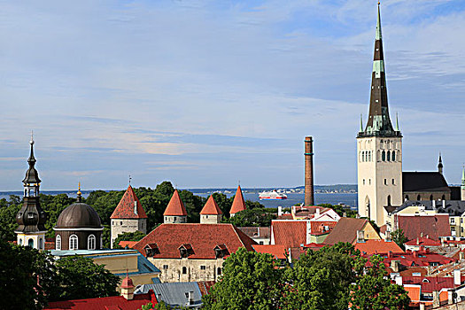 教堂,塔,城市,墙壁,波罗的海,后面,风景,视点,城镇,塔林,爱沙尼亚,欧洲