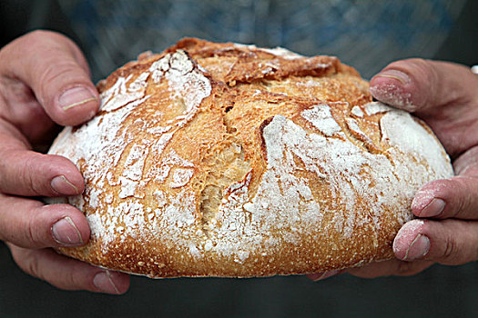 分享,面包,法国