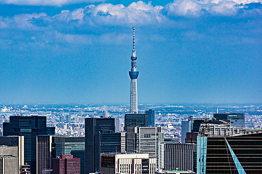 城市风光,摩天大楼,电视塔,东京,本州,日本,亚洲