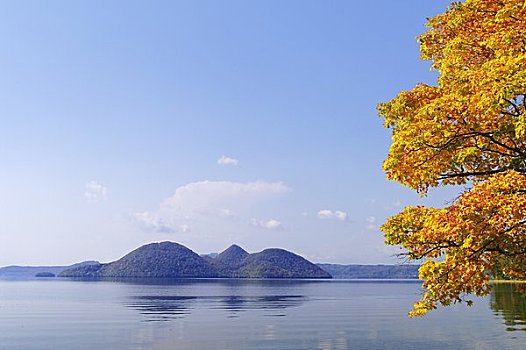 岛屿,湖,彩色,枫叶