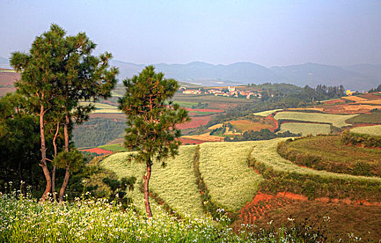 昆明,红色,陆地,区域,风景,群山