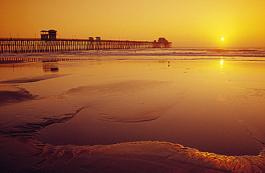 美国,加利福尼亚,海边,日落