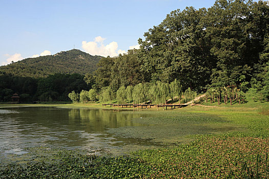 南京琵琶湖风景