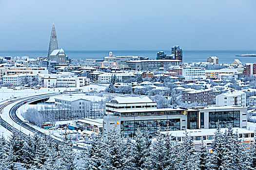 风景,上方,雷克雅未克,冬天,冰岛