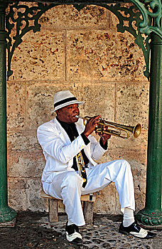 古巴,喇叭,演奏,表演,小,公园,哈瓦那,北美