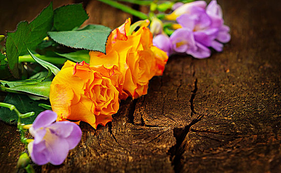 玫瑰,小苍兰属植物,木头