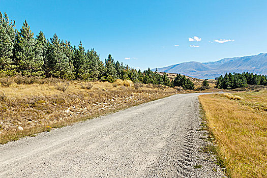 空,乡村道路,草场,白天,新西兰