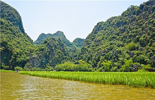 稻田,河,石灰石,山,背景,越南