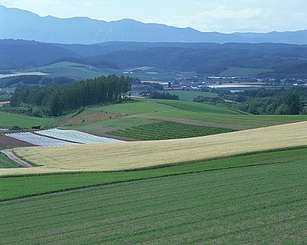 拼合,山