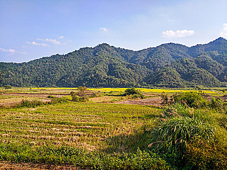 田园乡村,古村落