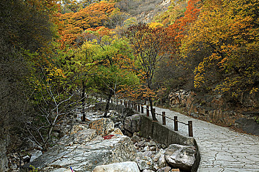 天津蓟县,梨木台风景区,古长城,秋色,风景区,旅游区