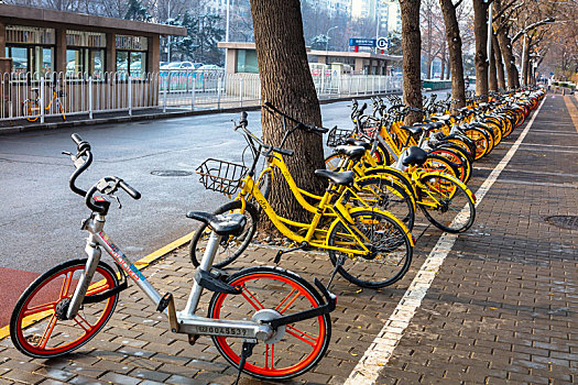 共享单车与北京雪后街景
