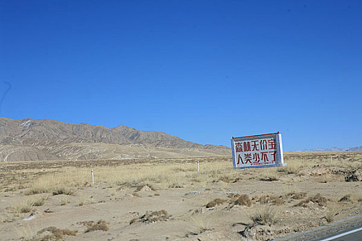 青藏公路边荒野的地里写着,森林无价宝,人类少不了,的标语