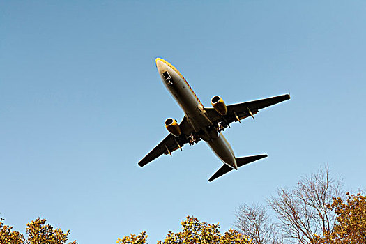 波音737,降落,飞跃,秋天,树,机场,北莱茵-威斯特伐利亚,德国,欧洲