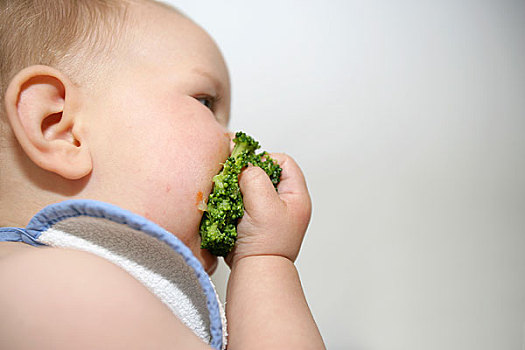侧面,婴儿,吃,花椰菜
