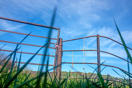 金属,栏杆,草,春天,漂亮,蓝天,云