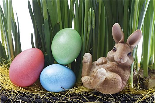 复活节兔子,复活节彩蛋,坐,水仙花,茎