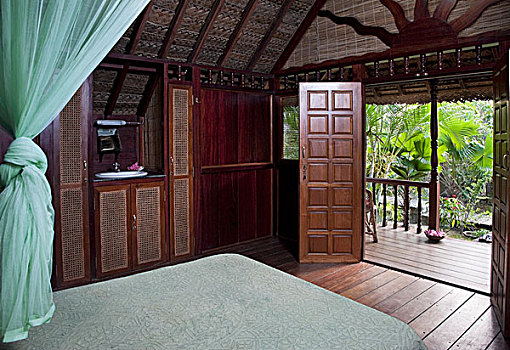 木,卧室,平台,棕榈树