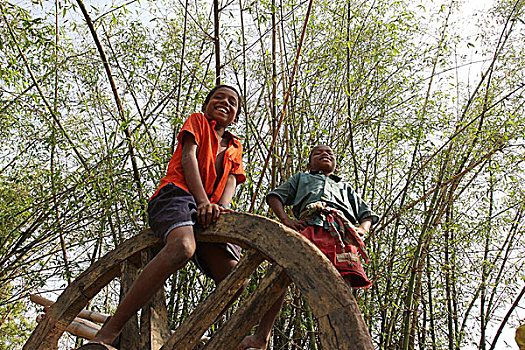 乡村,孩子,乐趣,传统,阉牛,手推车,孟加拉,五月,2008年