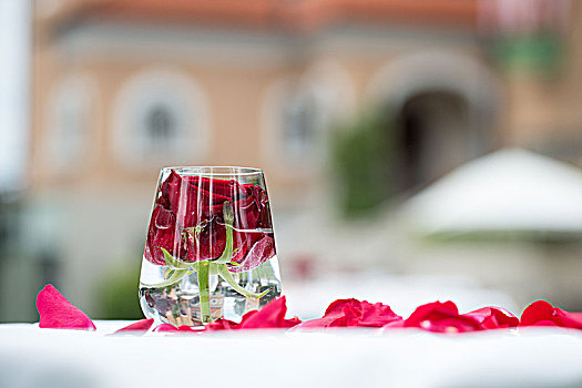 桌饰,红玫瑰,玻璃