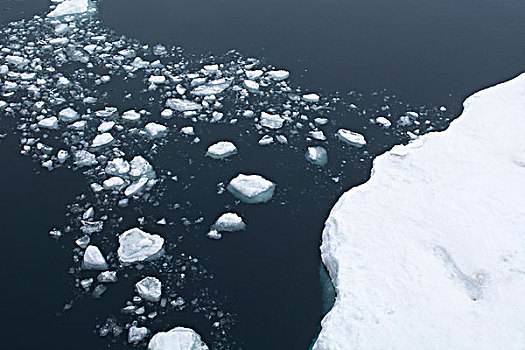 格陵兰,海洋,遥远,东海岸,靠近,海冰