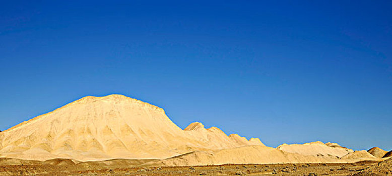 骡子,团队,峡谷,死亡谷国家公园,莫哈维沙漠,加利福尼亚,美国