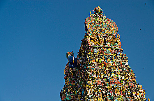 楼塔,庙宇,向上,高,装饰,数以千计,彩色,雕塑,神,马杜赖,泰米尔纳德邦,印度,亚洲