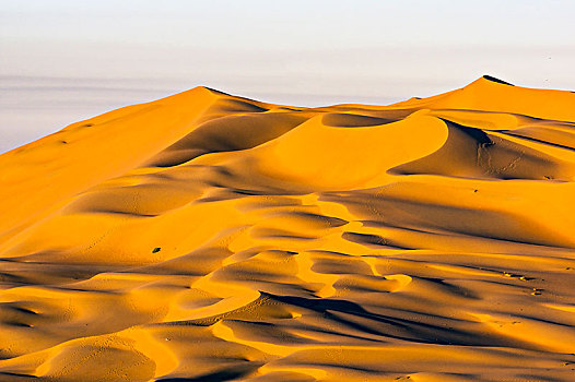 沙丘,擦,沙漠,阿布扎比,阿联酋,中东,亚洲