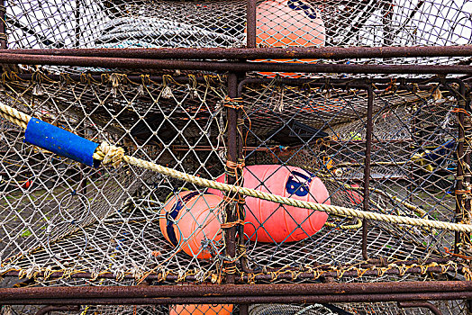 螃蟹,罐,一堆,岸边,港口,岛屿,西南部,阿拉斯加,美国
