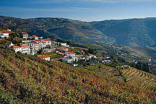 葡萄牙,乡村,葡萄园,山谷,靠近