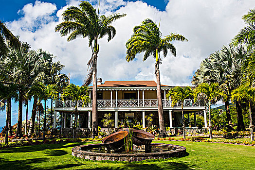 历史,宅邸,植物园,尼维斯岛,岛屿,加勒比