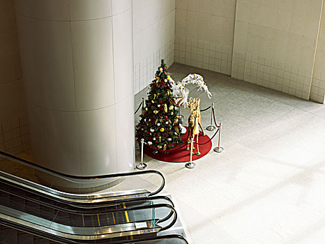 看,圣诞节,树,购物,中心,扶梯,左边,亮光,门,右边