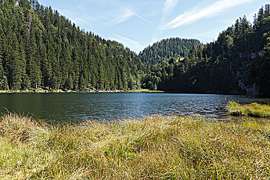 湖,齐姆高,上巴伐利亚,德国,欧洲