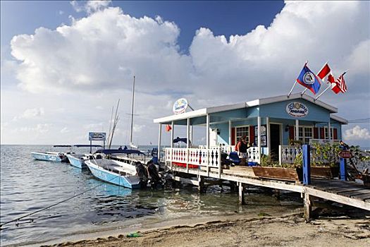 餐馆,码头,海洋,佩特罗,岛屿,伯利兹,中美洲,加勒比海