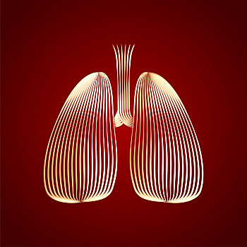 肺部插画