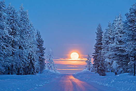 月亮,日出,雪,树林,诺尔博滕县,拉普兰,瑞典