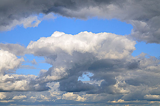 云体,右边,雷暴,勃兰登堡,德国,欧洲