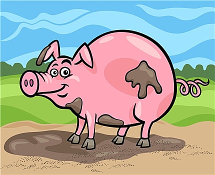 猪,家畜,卡通,插画