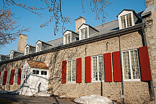建筑,红色,百叶窗,窗户,蒙特利尔,魁北克,加拿大