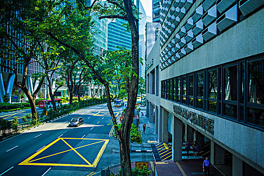 新加坡珊顿道风光