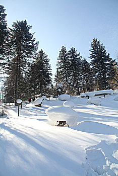 哈尔滨,雪乡,雪景,北方