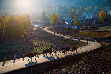 蒙古民居图片