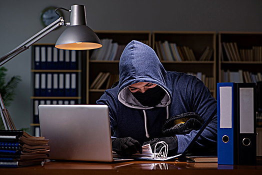 黑客,盗窃,数据,家,电脑