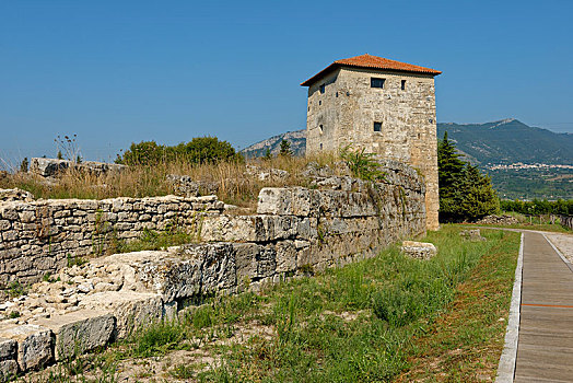残留,古式物品,城墙,遗迹,帕埃斯图姆,坎帕尼亚区,意大利,欧洲